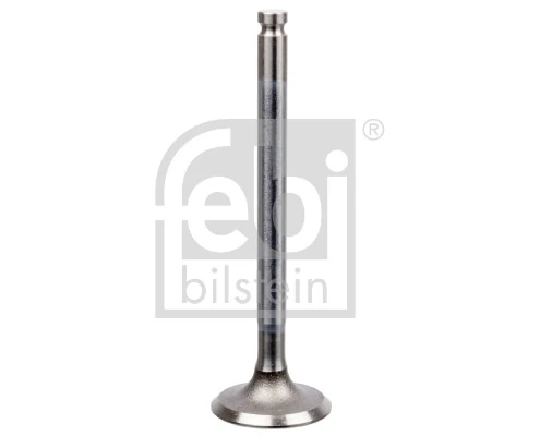 Intake Valve